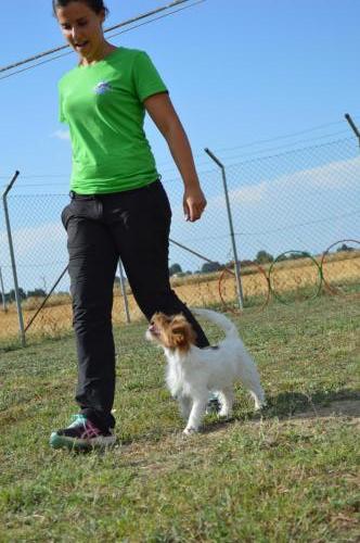 educazione (3) (1)